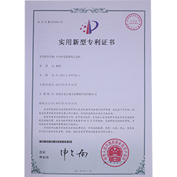 金比莱荣誉证书 (11)