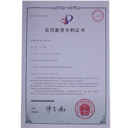 金比莱荣誉证书 (9)